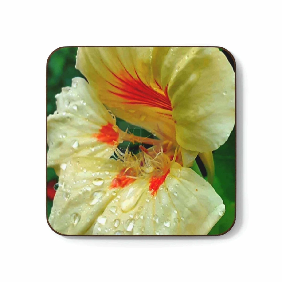 Nasturtium Hardboard Back Coaster - Hearth Home & Living