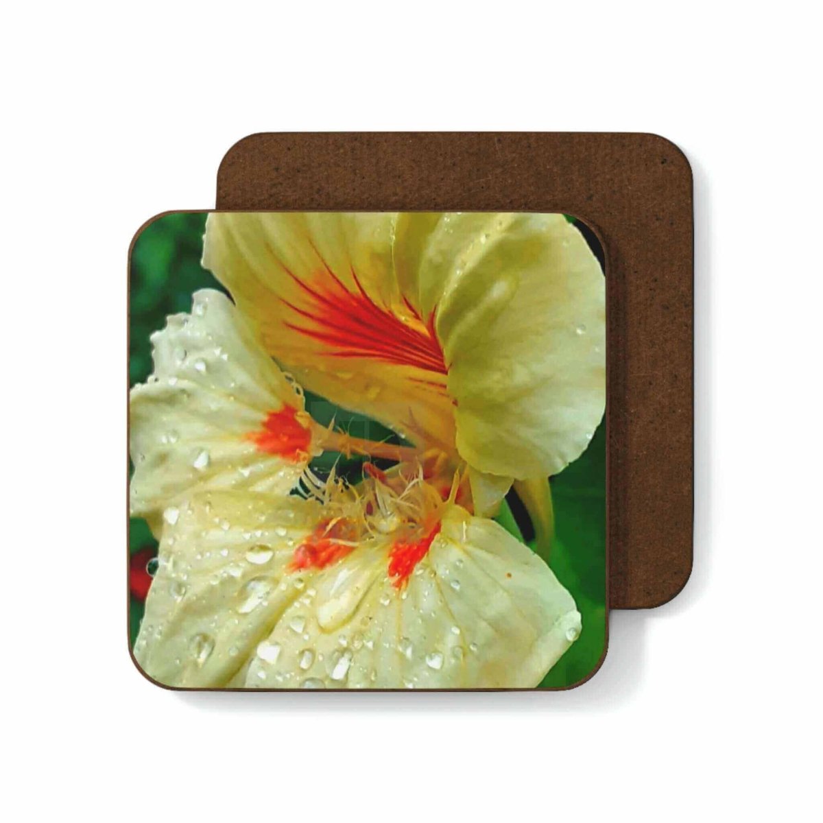 Nasturtium Hardboard Back Coaster - Hearth Home & Living
