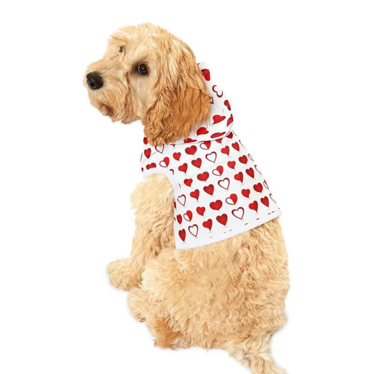 Dog Hoodie - Hearth Home & Living