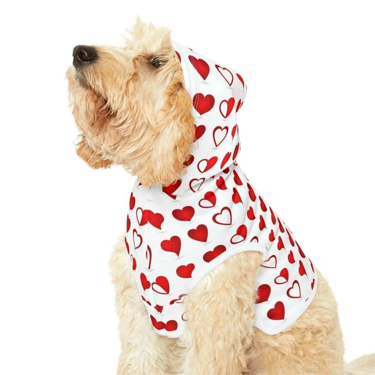 Dog Hoodie - Hearth Home & Living