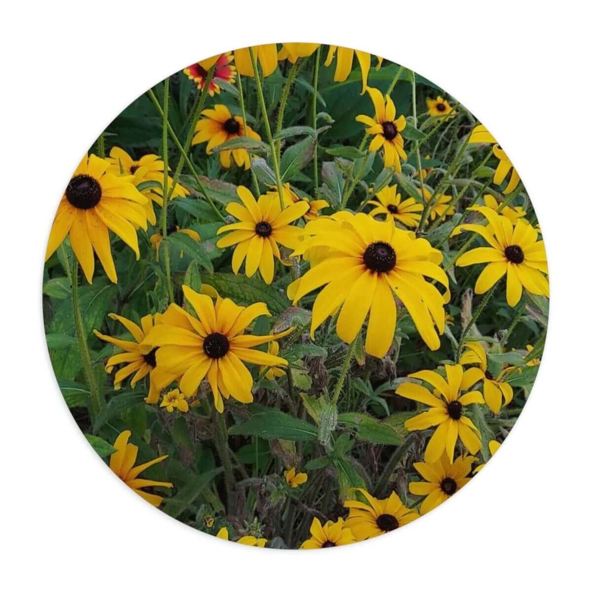 Floral Mouse Pad - Black - eyed Susan - Hearth Home & Living