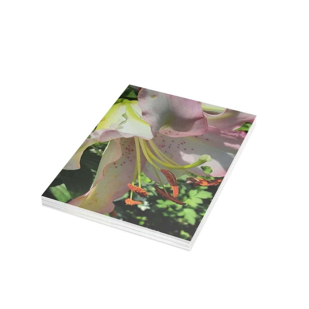 Garden Lily Greeting Card Bundle - Hearth Home & Living