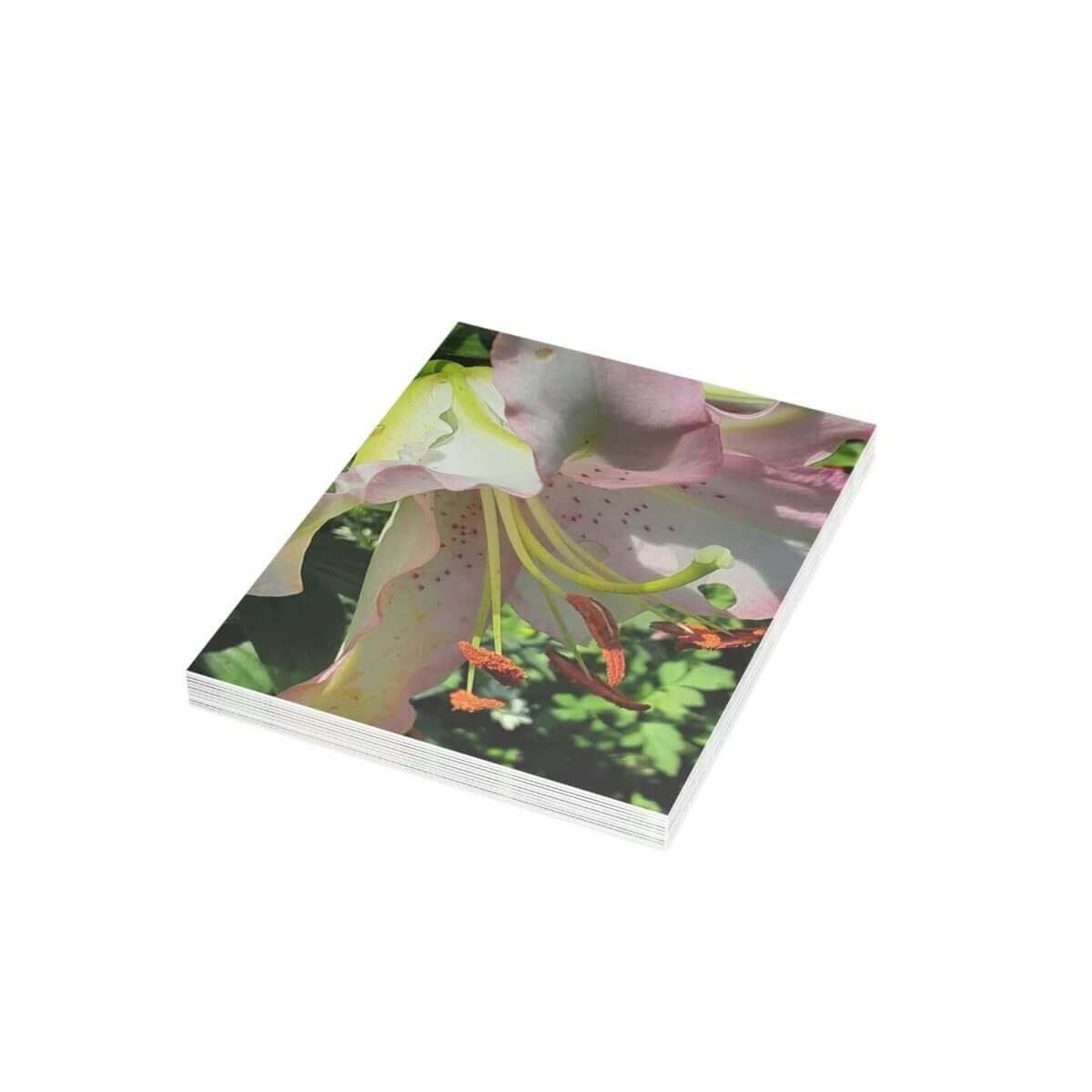 Garden Lily Greeting Card Bundle - Hearth Home & Living