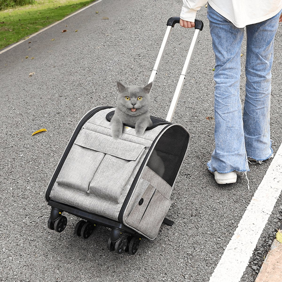 Pet Carrier with Wheels, Rolling Pet Carrier with Telescopic Handle - Hearth Home & Living