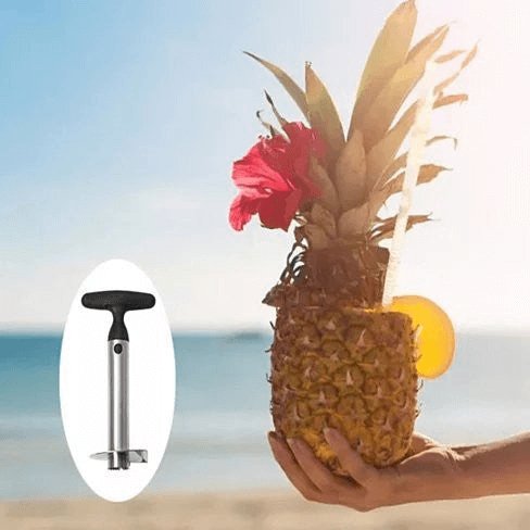 Pretty Prickly Pineapple Peeler The 4P Tool - Hearth Home & Living