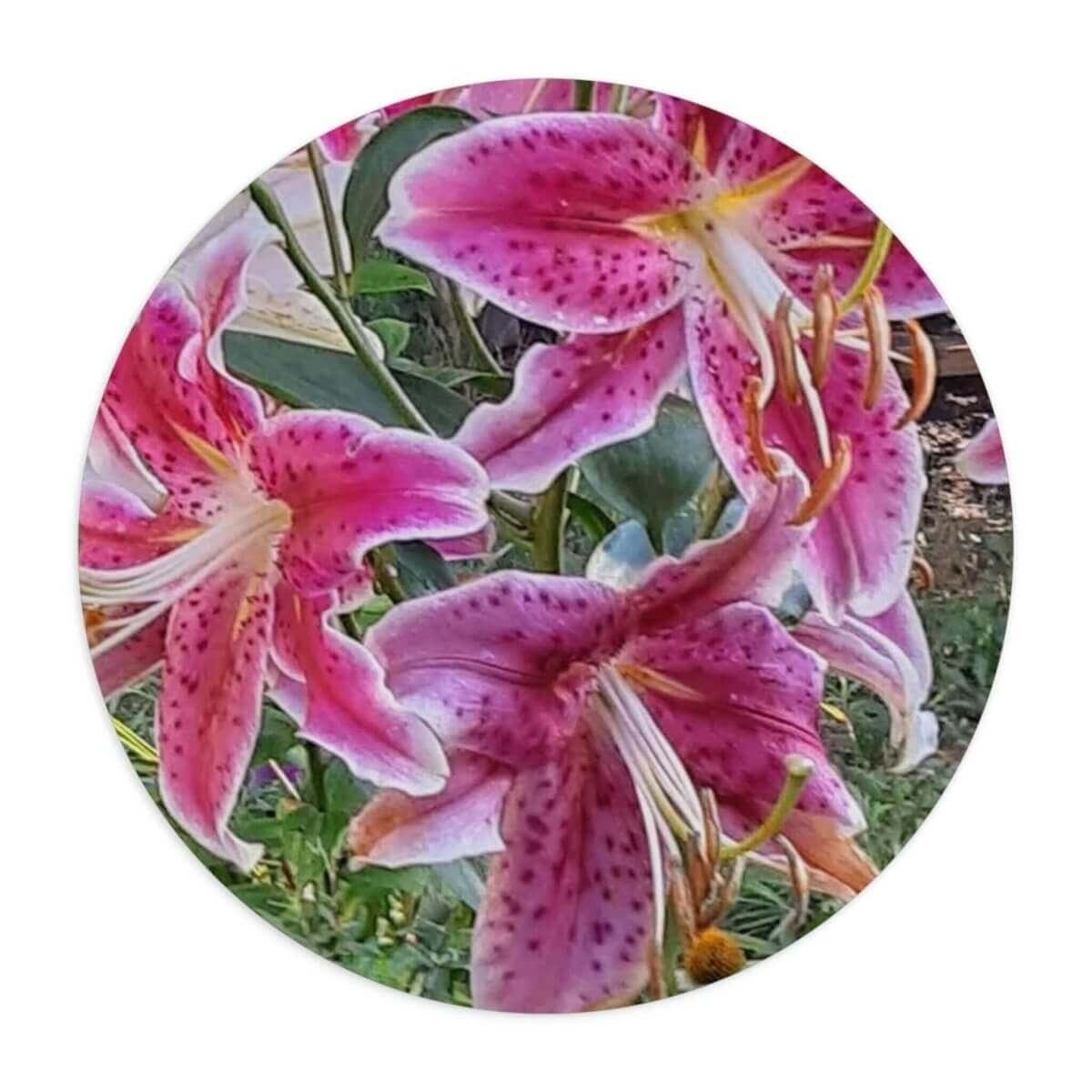 Round Mouse Pad - Tiger Lilies - Hearth Home & Living