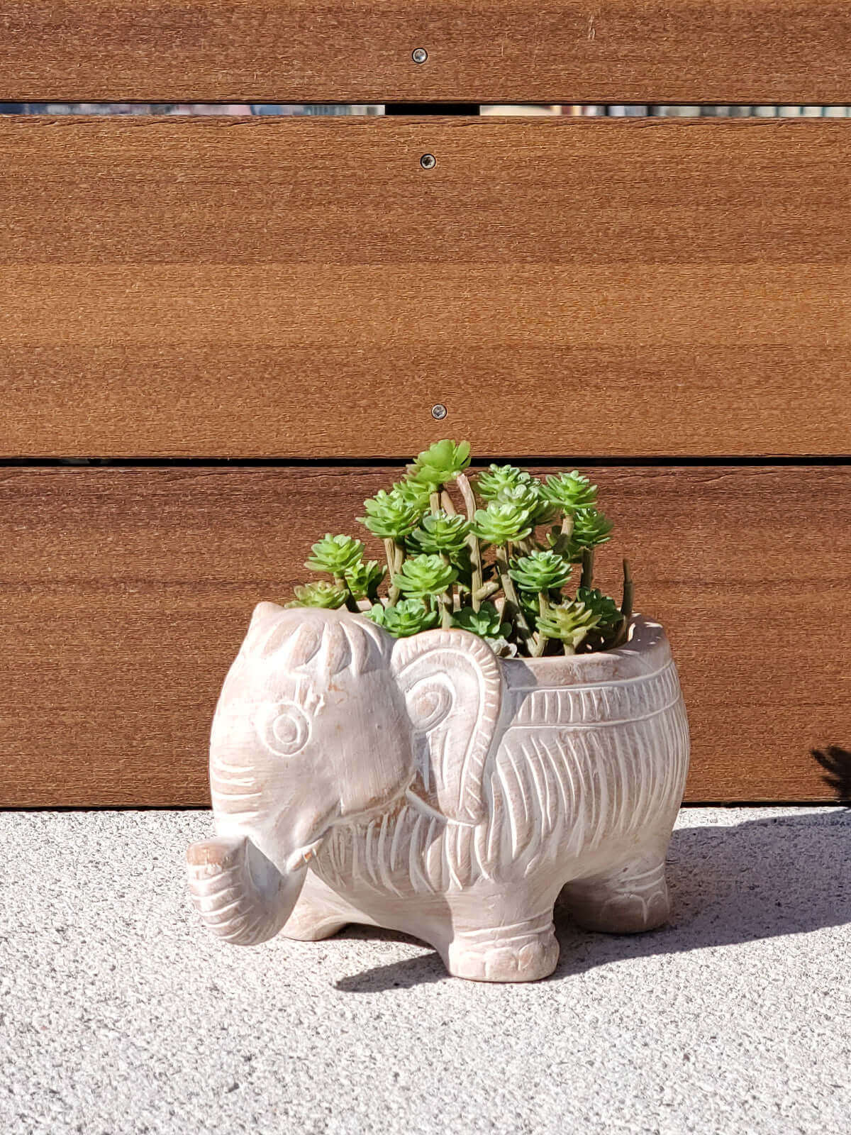 Terracotta Pot - Elephant-4
