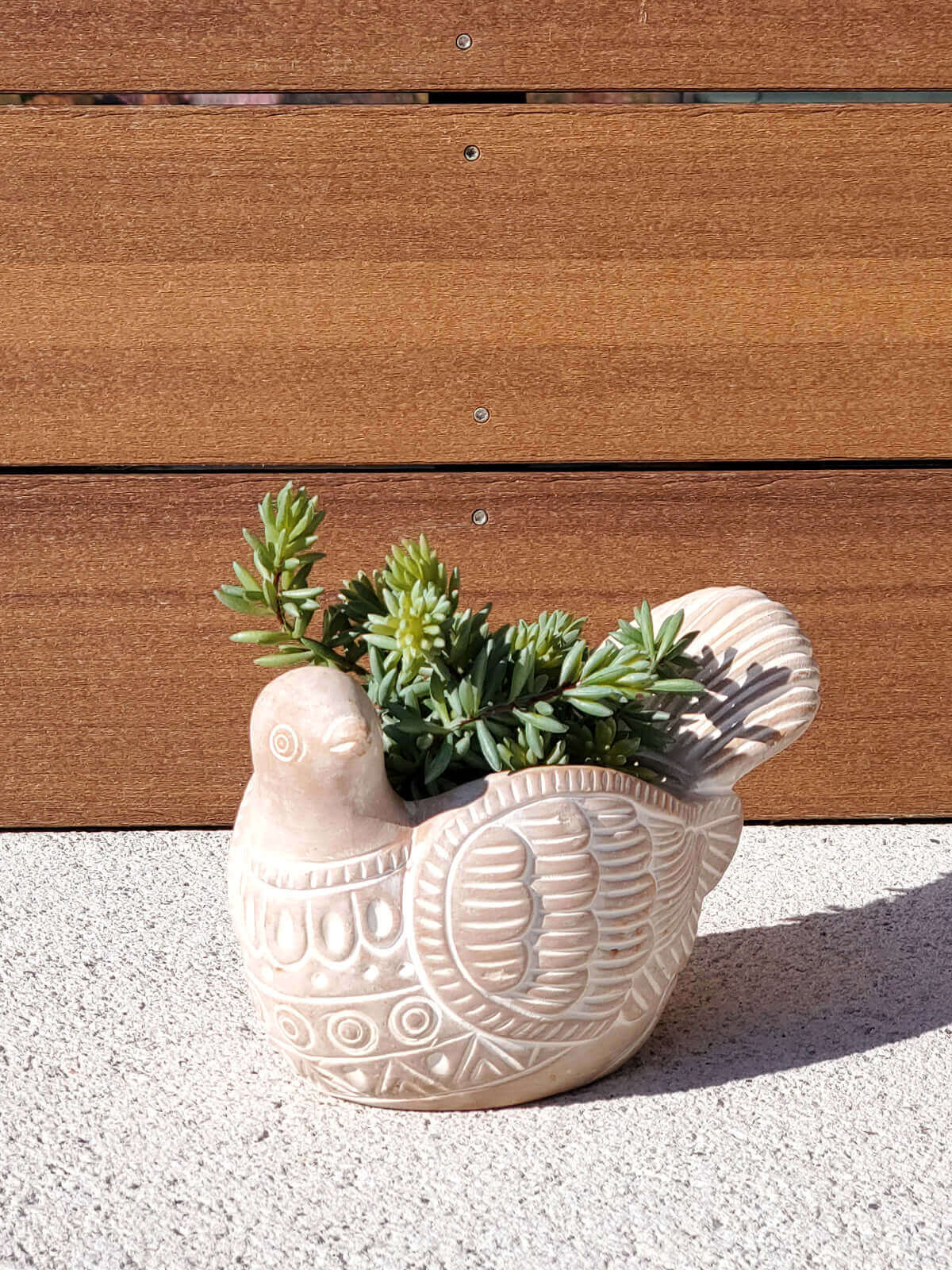 Terracotta Pot - Turtle Dove-3