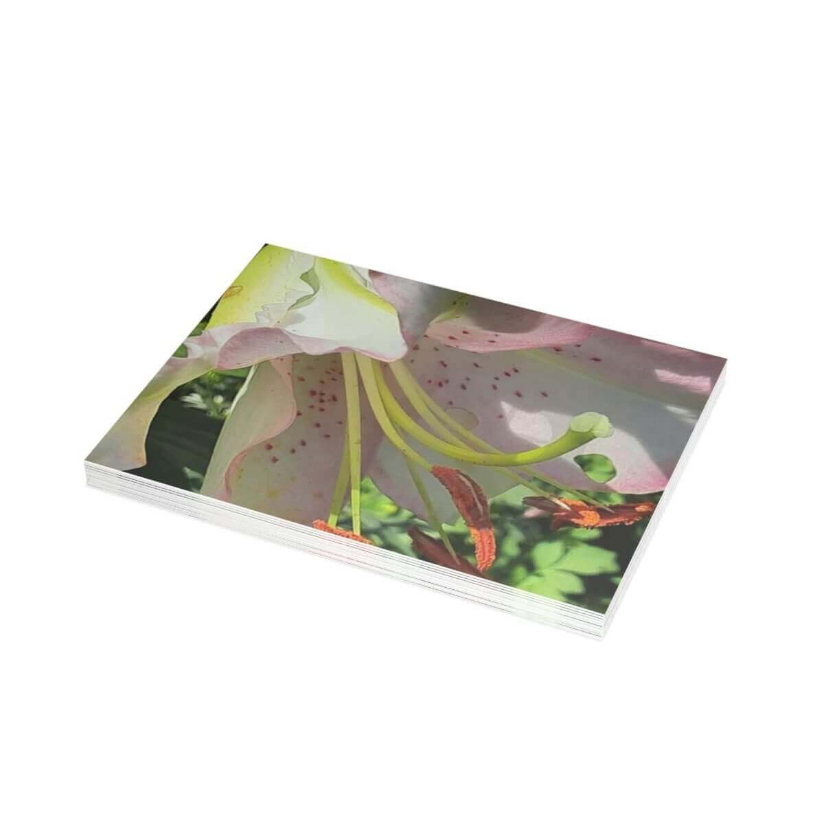 Garden Lilly Greeting Card Bundles (10, 30, 50 pcs) - 37