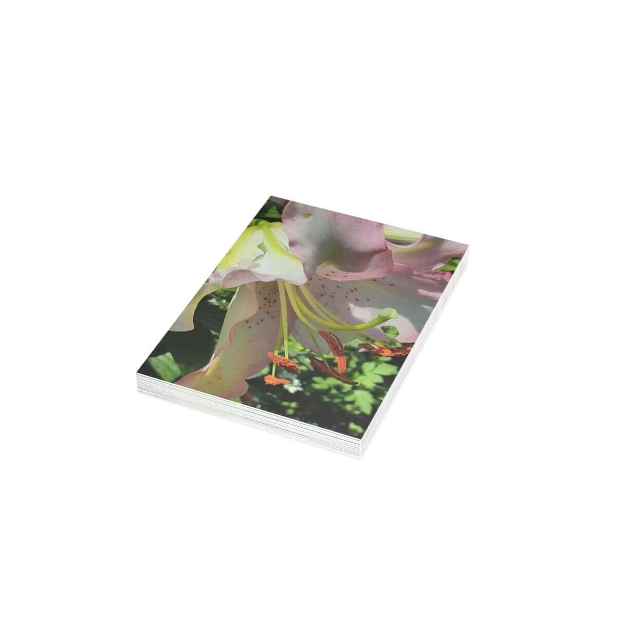 Garden Lilly Greeting Card Bundles (10, 30, 50 pcs) - Hearth Home & Living