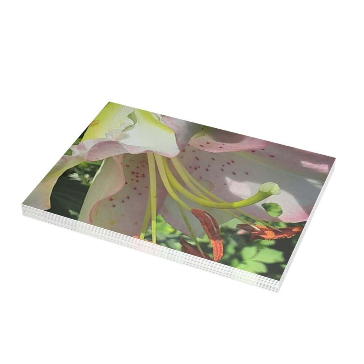 Garden Lilly Greeting Card Bundles (10, 30, 50 pcs) - Hearth Home & Living