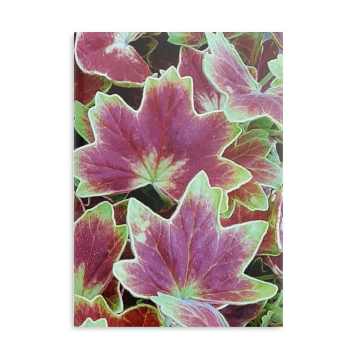 Hardcover Notebook with Puffy Covers - Geranium-3